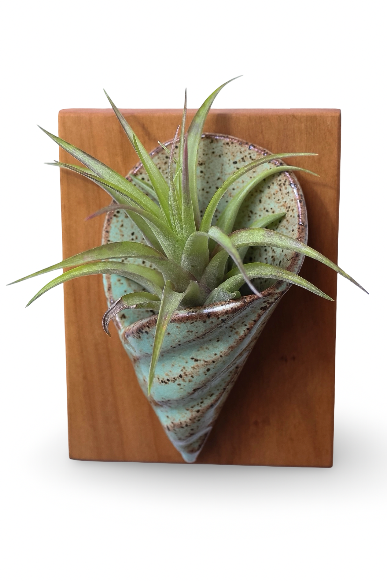 Ceramic & Wood Wall Vase Made in NC