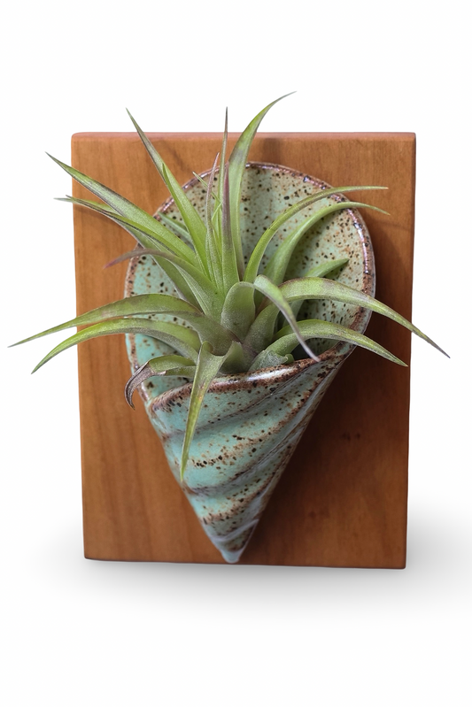 Ceramic & Wood Wall Vase Made in NC